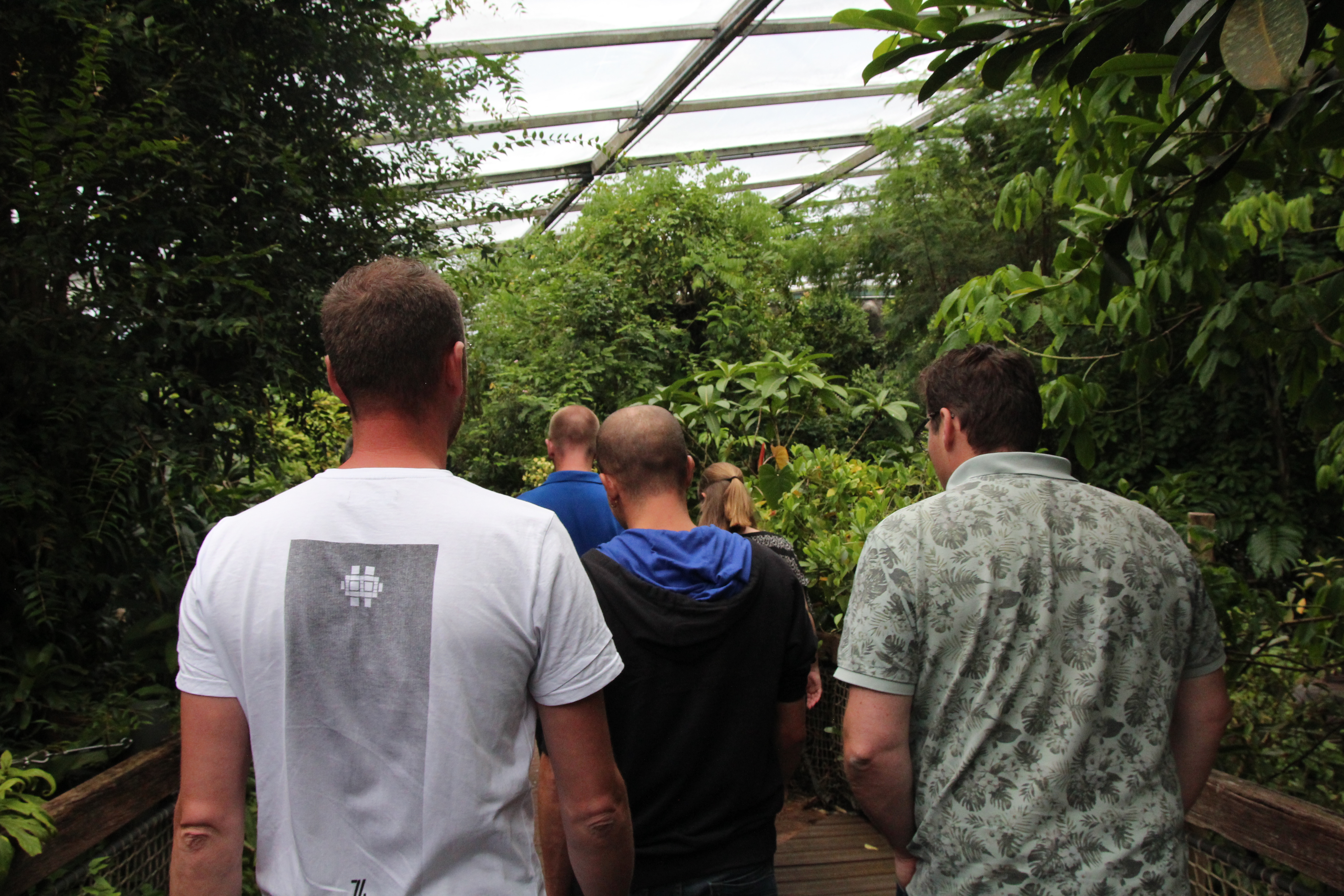 Diploma-uitreiking van Opleidingscentrum GO